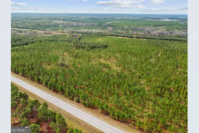 0 Highway 297 #TRACT 2 &amp; 3, Soperton, GA 30457 - Photo 19