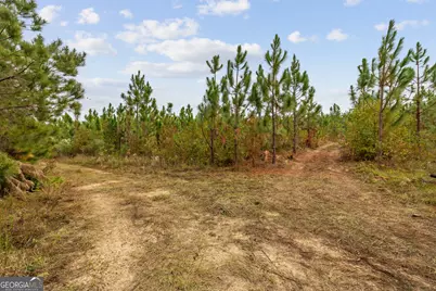 0 Hwy 297 #TRACTS 4 &amp; 5, Soperton, GA 30457 - Photo 19