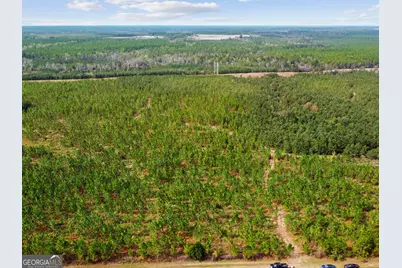 0 Hwy 297 #TRACTS 4 &amp; 5, Soperton, GA 30457 - Photo 7