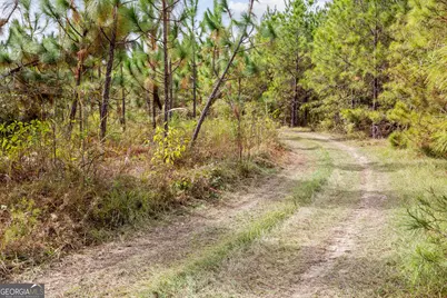 0 Hwy 297 #TRACTS 4 &amp; 5, Soperton, GA 30457 - Photo 13