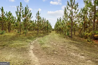 0 Hwy 297 #TRACTS 4 &amp; 5, Soperton, GA 30457 - Photo 15