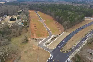 Hwy 166 W Maple St, Carrollton, GA 30117 - Photo 1