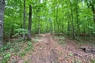 240 Riverview Rd, Jackson, GA 30233 - Photo 63