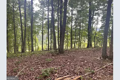 0 White Oak Rd, Summerville, GA 30747 - Photo 3