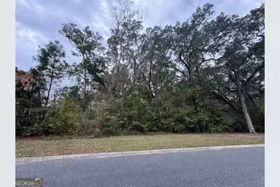 Lot 139 Canopy Lane, Waverly, GA 31565 - Photo 3