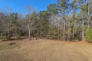 145 Creekside Way, McDonough, GA 30252 - Photo 7