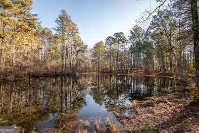 2893 Whitlow Ridge Drive, Bishop, GA 30621 - Photo 49