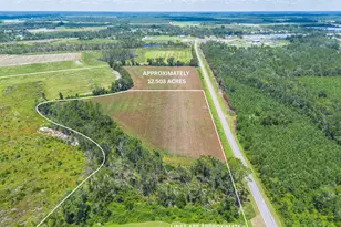 600 Teakwood Rd, Alma, GA 31510 - Photo 1