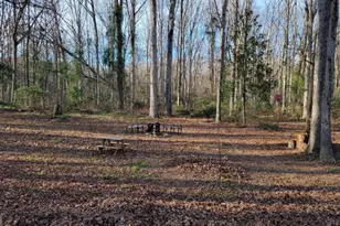 74 Wolfskin Rd, Arnoldsville, GA 30619 - Photo 3