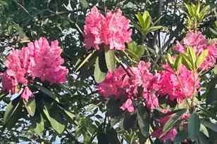 1931 Oliver Bridge Rd, Watkinsville, GA 30677 - Photo 21