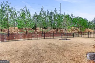 523 Hazelnut Dr, Peachtree City, GA 30269 - Photo 45