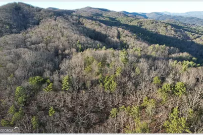 1487 Morton Drive, Ellijay, GA 30540 - Photo 51