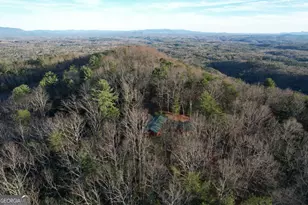 1487 Morton Dr, Ellijay, GA 30540 - Photo 49