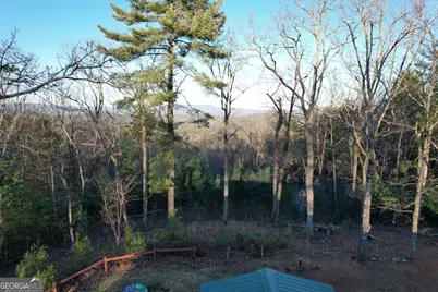 1487 Morton Drive, Ellijay, GA 30540 - Photo 37