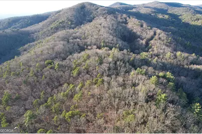 1487 Morton Drive, Ellijay, GA 30540 - Photo 47