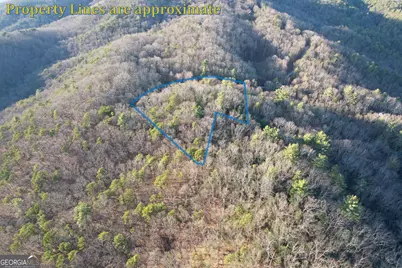 1487 Morton Drive, Ellijay, GA 30540 - Photo 59