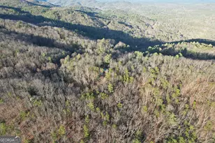 1487 Morton Dr, Ellijay, GA 30540 - Photo 53