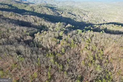 1487 Morton Drive, Ellijay, GA 30540 - Photo 55