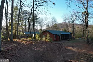 1487 Morton Dr, Ellijay, GA 30540 - Photo 43