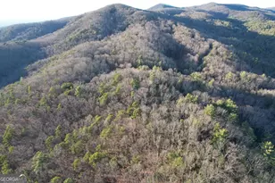 1487 Morton Dr, Ellijay, GA 30540 - Photo 45