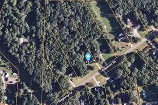 118 Ridgeway Rd, Milner, GA 30257 - Photo 49