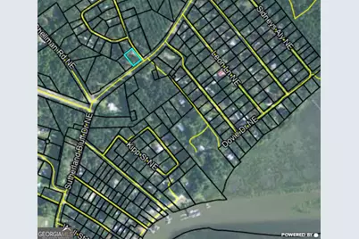 1031 Moore Haven Circle NE, Townsend, GA 31331 - Photo 19