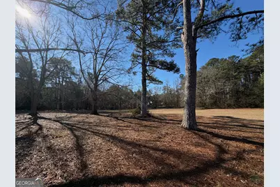 894 New Hope Road, McDonough, GA 30252 - Photo 3