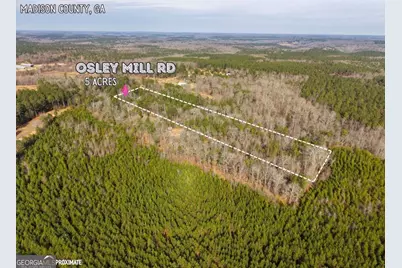 0 Osley Mill Rd, Comer, GA 30629 - Photo 9