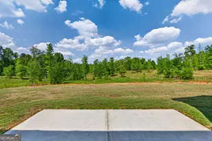 403 Andrews Mill Rd, Greenville, GA 30222 - Photo 37