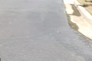 4071 Copper Creek Way, Buford, GA 30519 - Photo 47