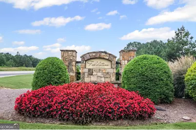 150 Duck Drive, Senoia, GA 30276 - Photo 67