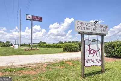 1275 Pj East Road, Covington, GA 30014 - Photo 53