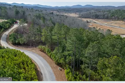Lot 205 The Cove @ 1300, Blairsville, GA 30512 - Photo 11