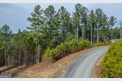 Lot 205 The Cove @ 1300, Blairsville, GA 30512 - Photo 51