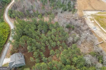 Lot 205 The Cove @ 1300, Blairsville, GA 30512 - Photo 47