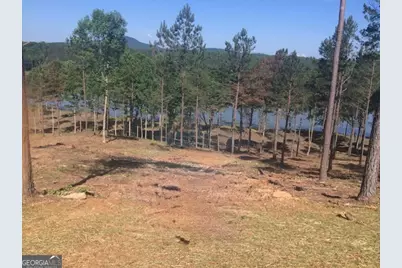 Lot 205 The Cove @ 1300, Blairsville, GA 30512 - Photo 3