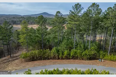 Lot 205 The Cove @ 1300, Blairsville, GA 30512 - Photo 51