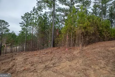 Lot 205 The Cove @ 1300, Blairsville, GA 30512 - Photo 55