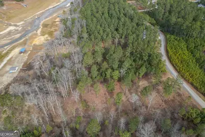 Lot 205 The Cove @ 1300, Blairsville, GA 30512 - Photo 9