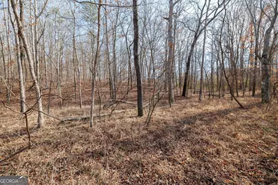 Lot 23 &amp; 24 Tomlin Way, Commerce, GA 30530 - Photo 41