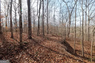 Lot 23 &amp; 24 Tomlin Way, Commerce, GA 30530 - Photo 33