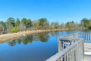 101 Willow Ridge Cir, Thomasville, GA 31757 - Photo 83