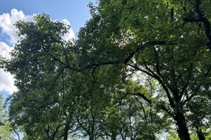 89 Ericson St SE, Atlanta, GA 30317 - Photo 1