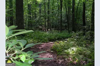 120 Waterview Court, Waleska, GA 30183 - Photo 37