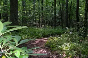 120 Waterview Ct, Waleska, GA 30183 - Photo 37