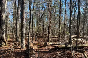 23 Orchard Springs Dr, Rome, GA 30165 - Photo 1