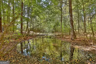 120 Meadow View Glen, Newnan, GA 30265 - Photo 83