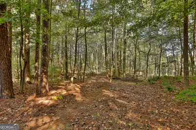 120 Meadow View Glen, Newnan, GA 30265 - Photo 25