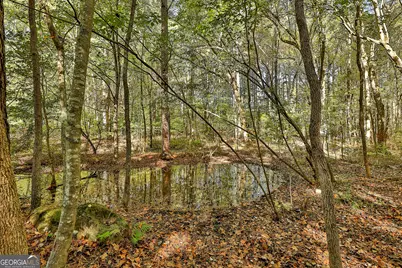 120 Meadow View Glen, Newnan, GA 30265 - Photo 27