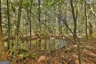 120 Meadow View Glen, Newnan, GA 30265 - Photo 27